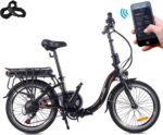 FAFREES 20F054 Faltbares Klapprad 20 Zoll E-Bike