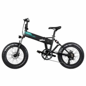 FIIDO M1 Folding Mountain Bike Schwarz – Klappbar, 20", 250W, herausnehmbarer Akku 12.5Ah